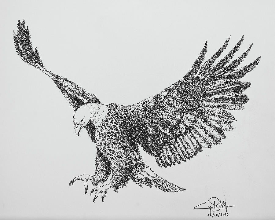 Bald Eagle Drawing by Cyril Maza