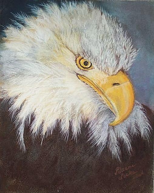 Bald Eagle Pastel by Deane Locke