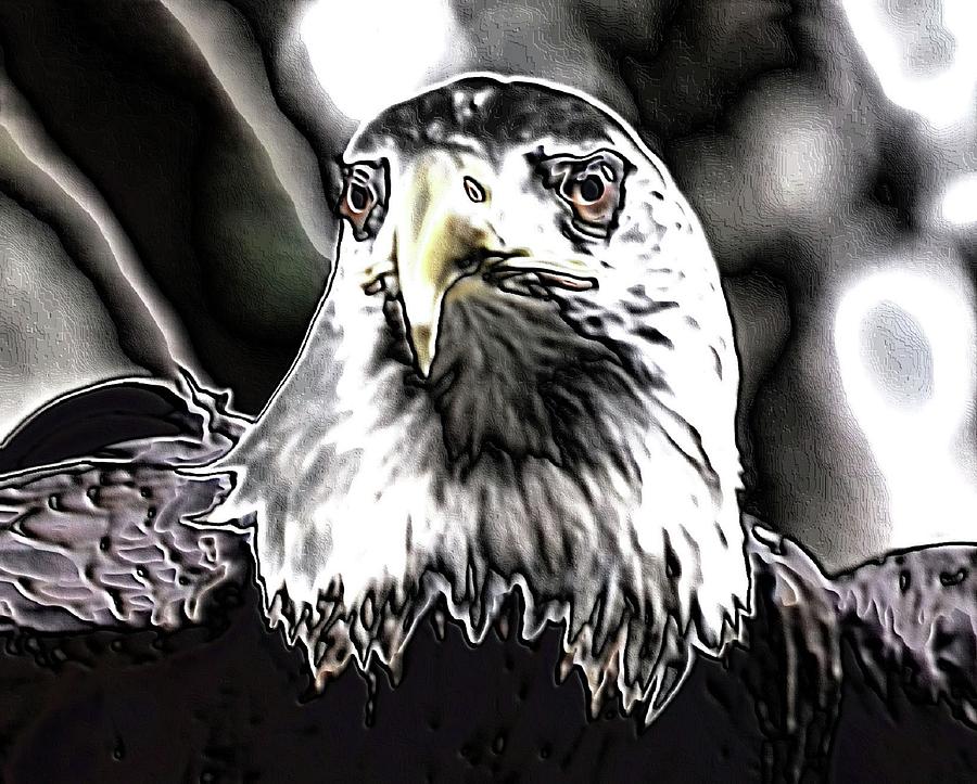 Bald Eagle Digital Digital Art by Charles HALL
