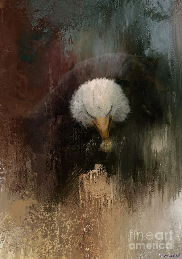 Bald Eagle Photograph by Eva Lechner