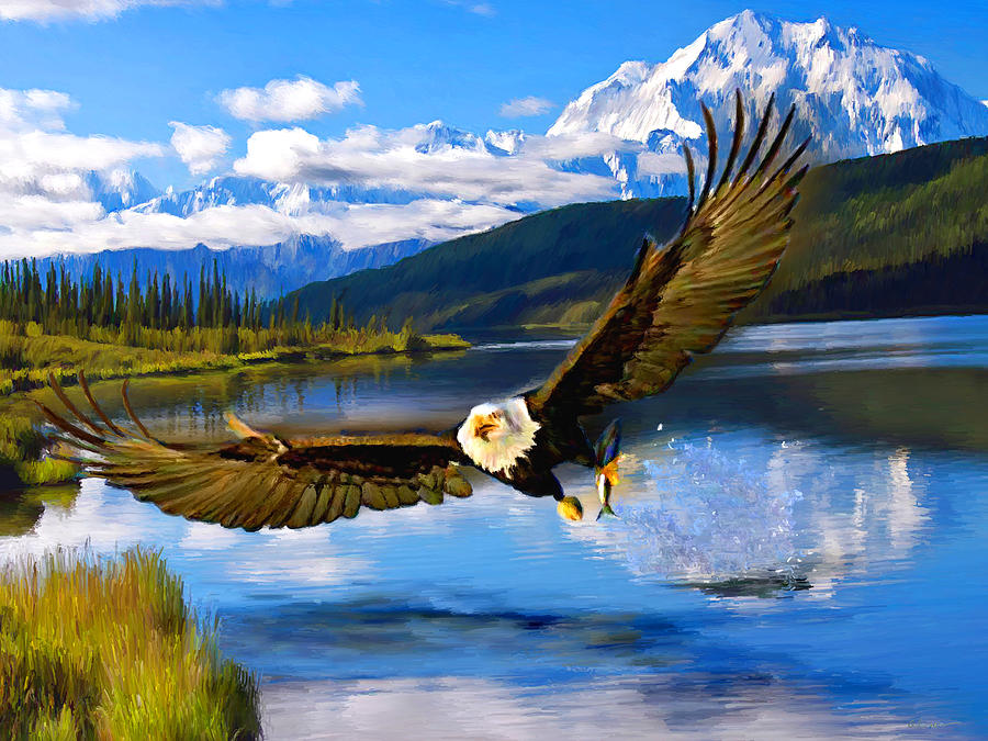 Bald Eagle Fishing Denali Painting by Allen Lawrence