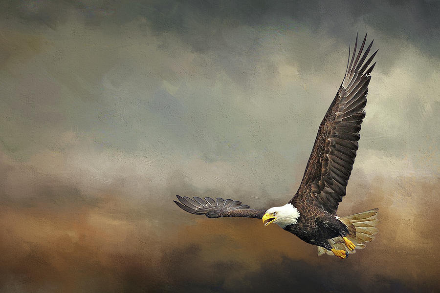 American Bald Eagle Flying In Storm Digital Art