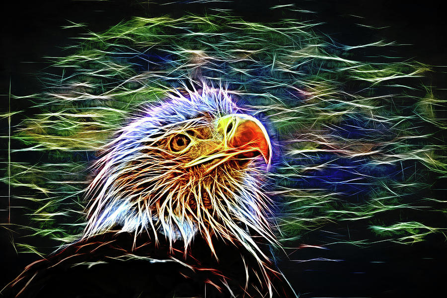 Bald Eagle Fractal Photograph by Judy Vincent
