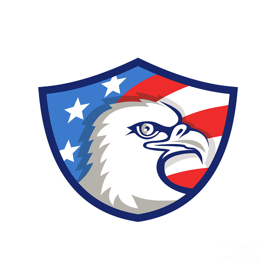 american flag shield eagle