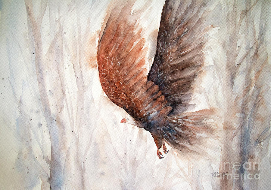 Bald Eagle in Flight Painting by Rebecca Davis