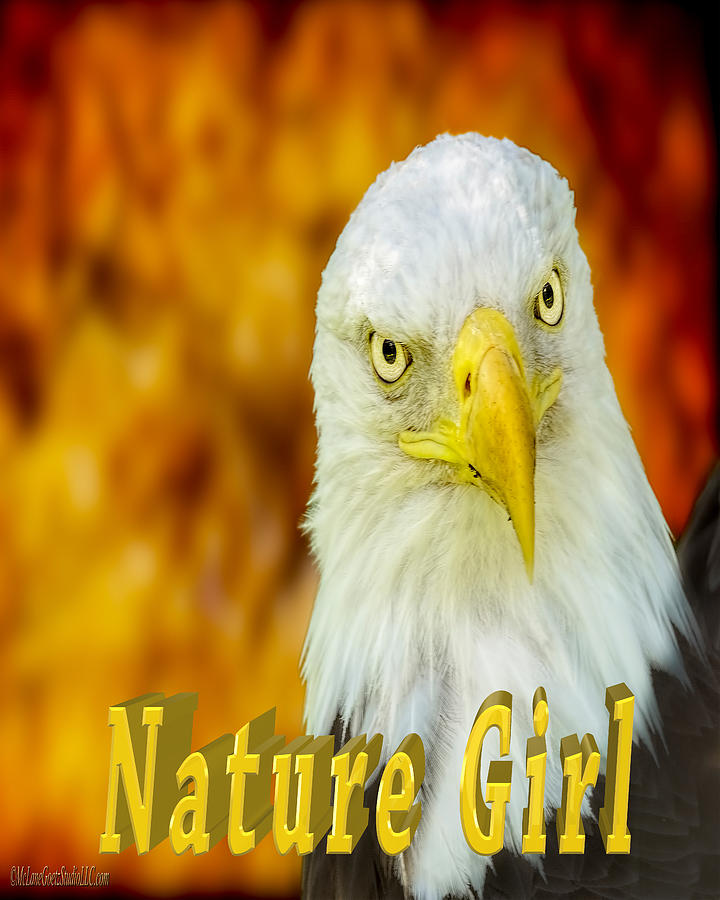 Bald Eagle Nature Girl Photograph by LeeAnn McLaneGoetz McLaneGoetzStudioLLCcom