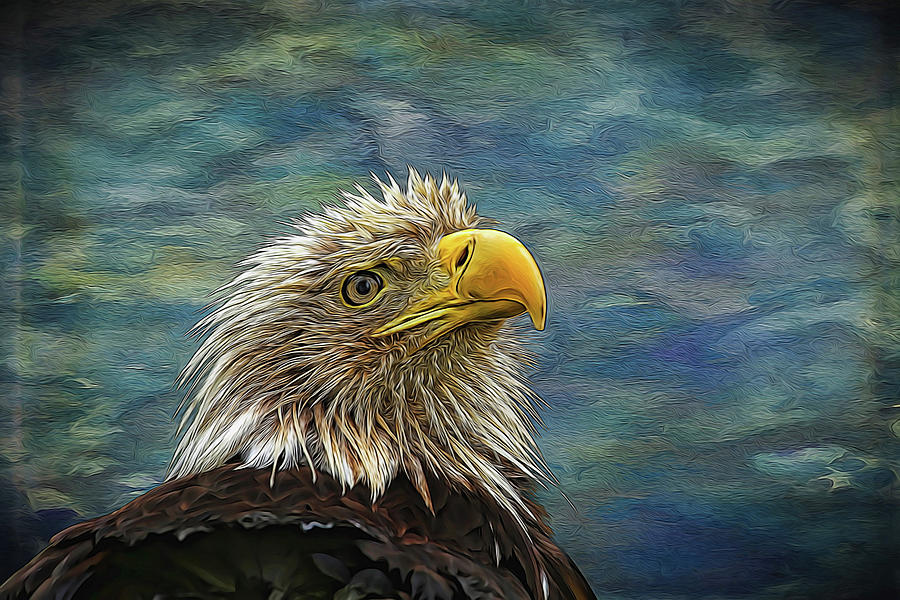 Bald Eagle Painted Photograph by Judy Vincent