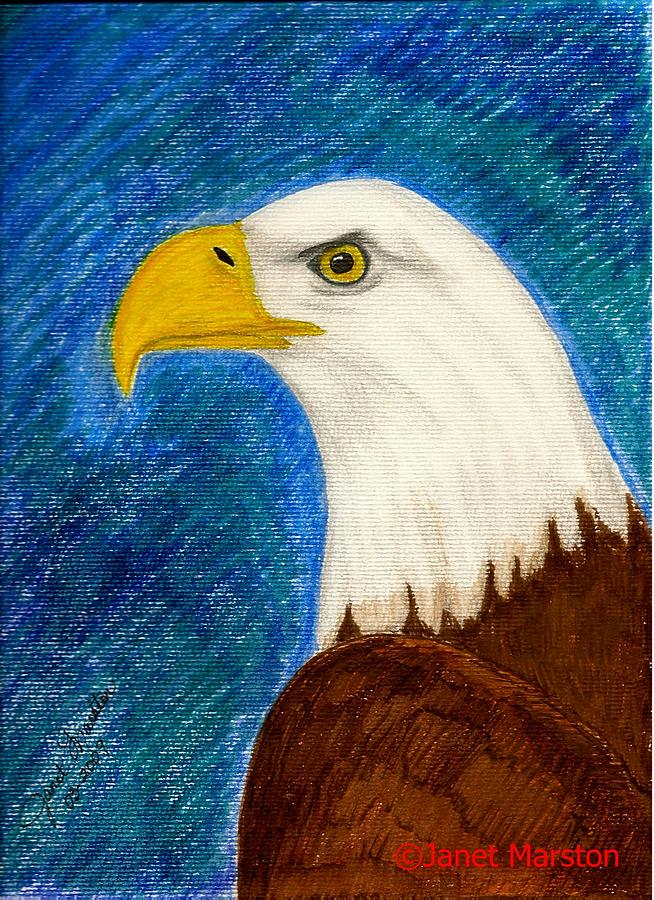 Wildlife Painting - Bald Eagle Painting by Janet Marston