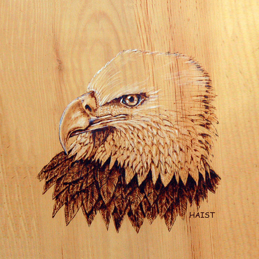 Bald Eagle Pillow/bag Pyrography by Ron Haist