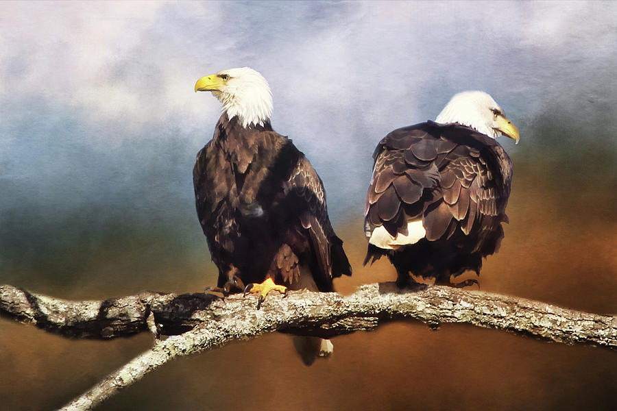 Bald Eagle Watchmen   Digital Art by TnBackroadsPhotos