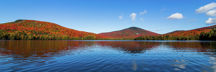 Bald Hill Pond Panoramic Photograph by Tim Kirchoff