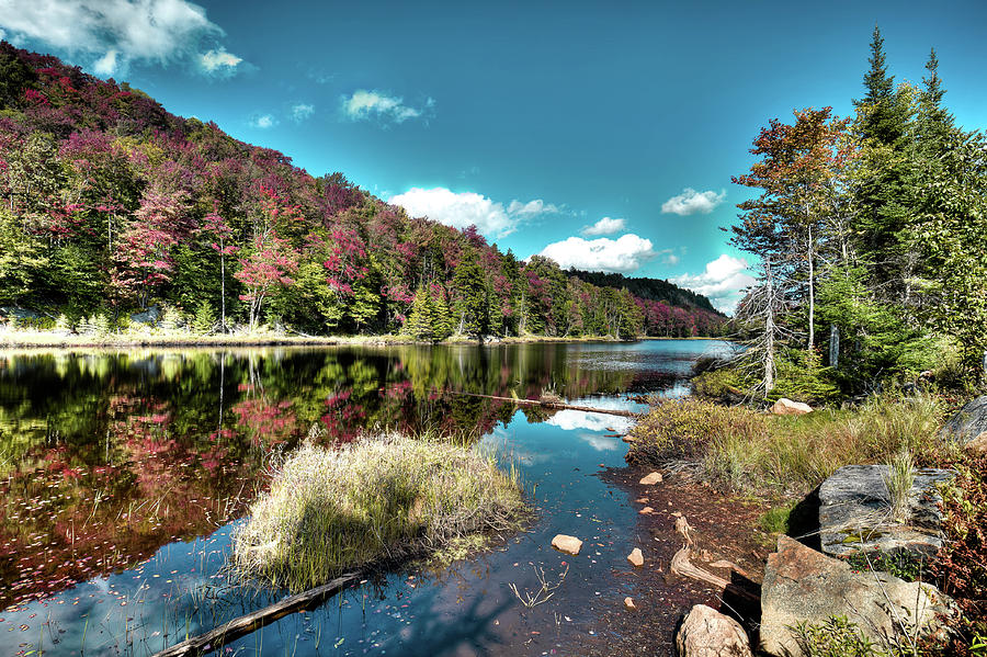 Bald Mountain Pond Reflections Photograph by David Patterson