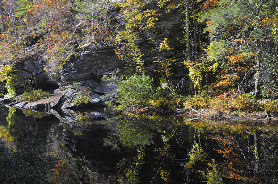 Bald River Autumn Reflection Photograph by Darrell Young