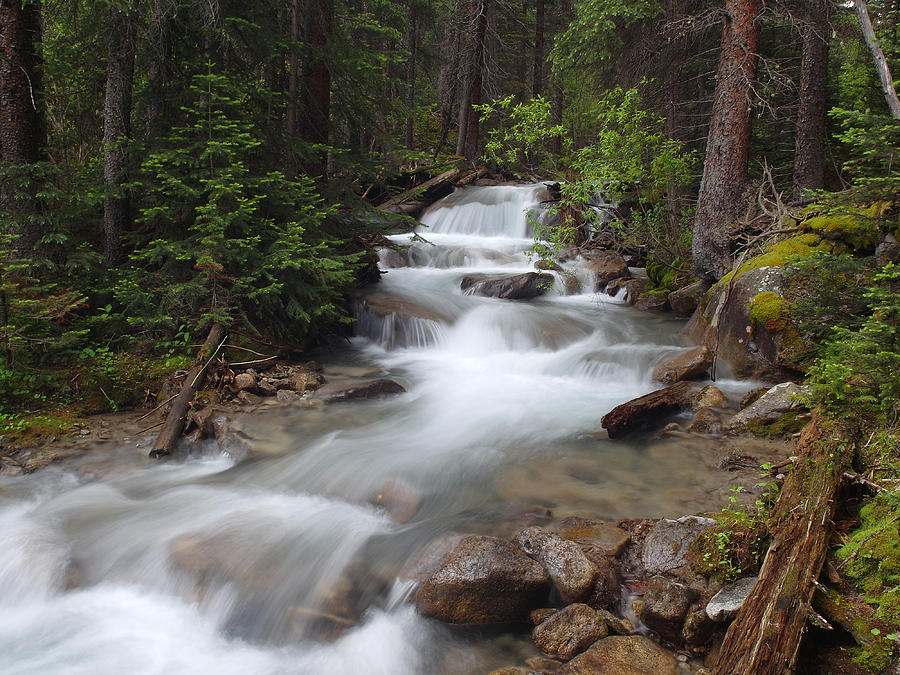 Nature Photograph - Baldwin Creek CO by Jerry Mann