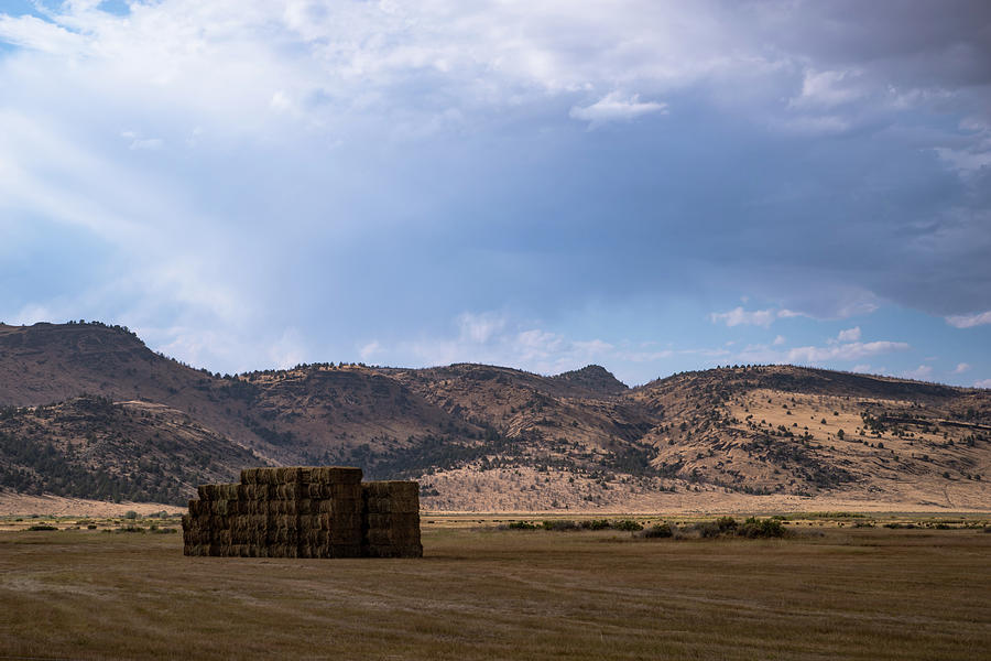 Baled and Stacked Photograph by Steven Clark
