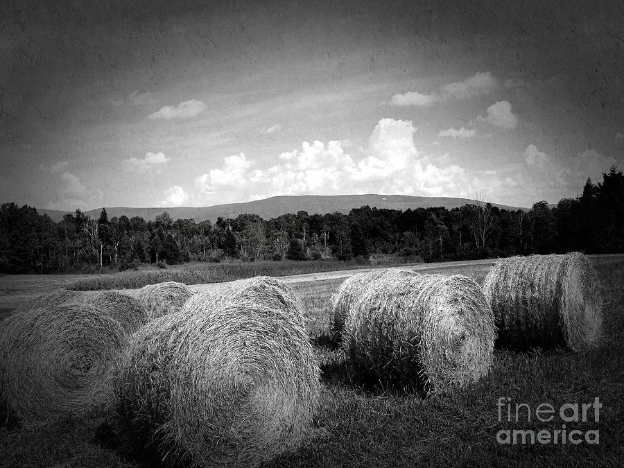 Bales in Monochrome Photograph by Onedayoneimage Photography