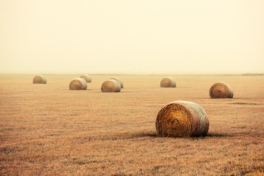 Bales in the Fog Photograph by Todd Klassy