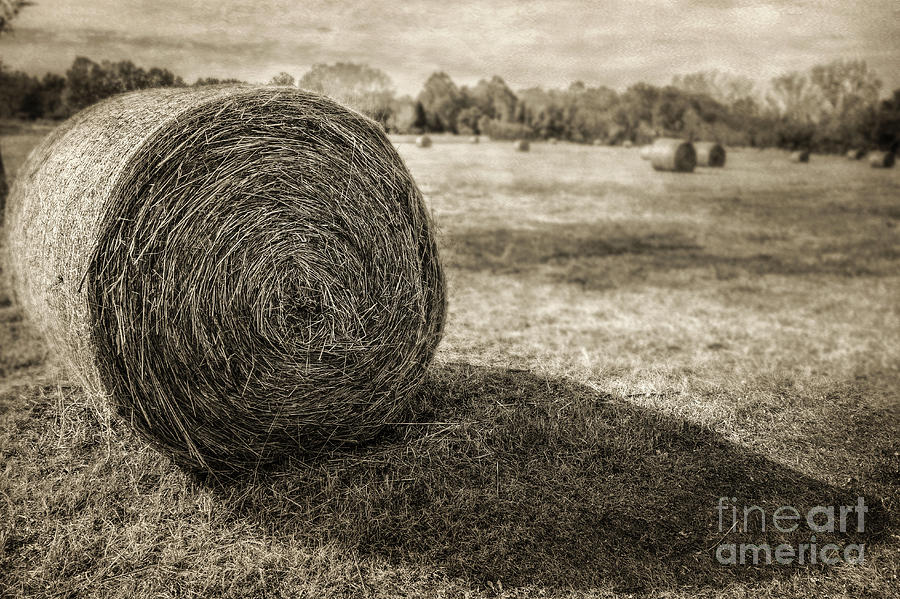 Bales Photograph by John Anderson