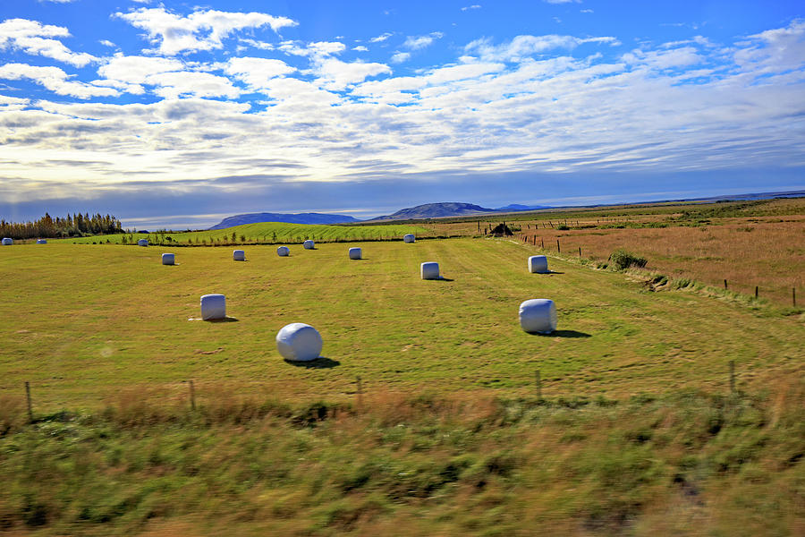 Bales of hay for the animals near Reykjavik, Iceland Photograph by Allan Levin
