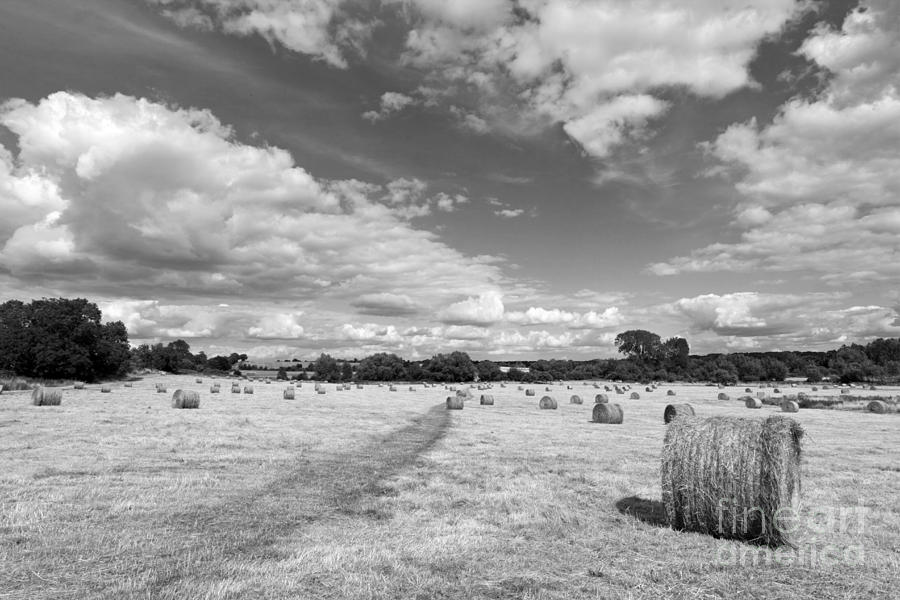 Bales of Hay in the English Countryside Photograph by Julia Gavin