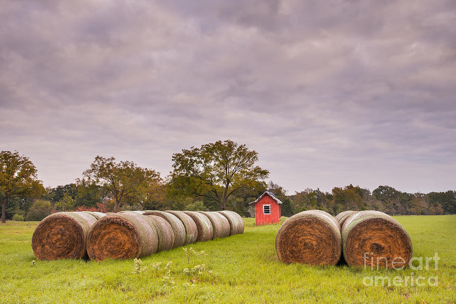 Bales of Hay in the Texas Countryside - Reagan Texas Photograph by Silvio Ligutti
