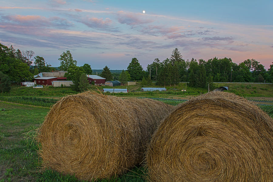 Bales Of Hay With Moon Photograph by Angelo Marcialis