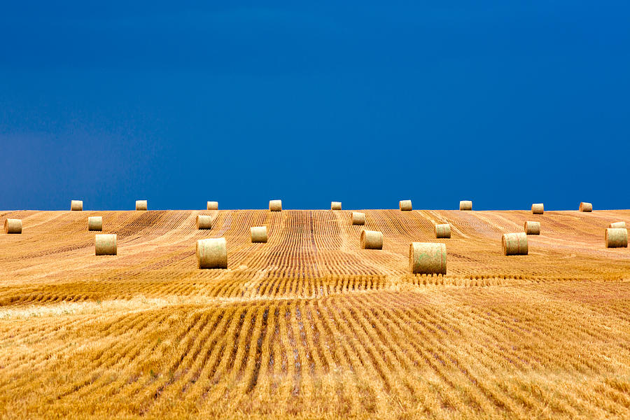 Bales on the Storm Photograph by Todd Klassy