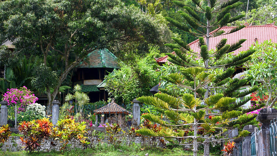 Bali Gardens Photograph by Todd Hummel Bali Gardens Photograph by Todd Hummel
