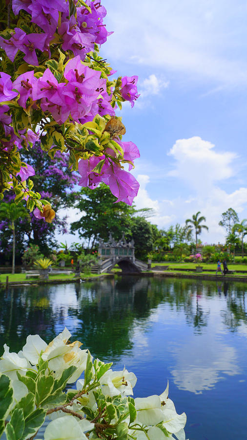 Bali Reflections Photograph by Todd Hummel Bali Reflections Photograph by Todd Hummel