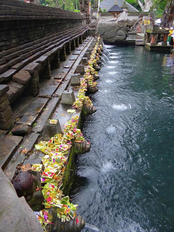 Unschooling Photograph - Bali temple offerings by Exploramum Exploramum Unschooling Photograph - Bali temple offerings by Exploramum Exploramum