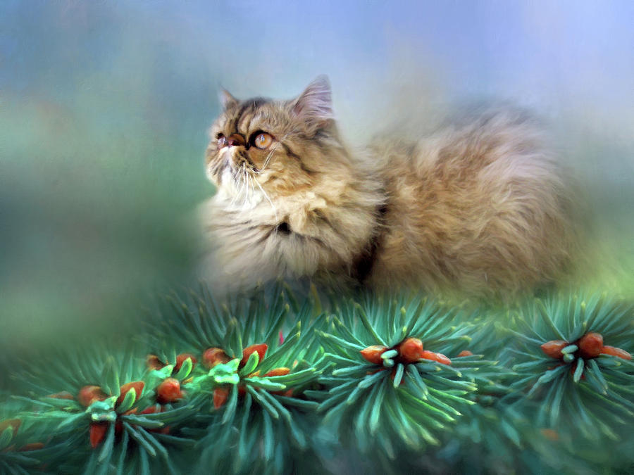 Wildlife Photograph - Ball Of Fluff Cat Art by Georgiana Romanovna