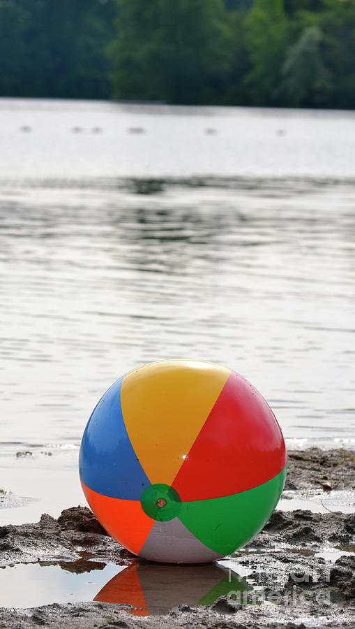 Ball of Fun Photograph by Traci Cottingham