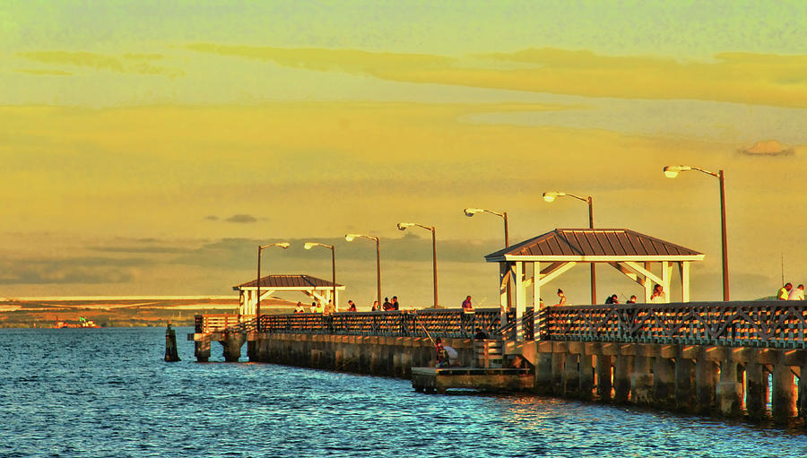 Ballast Point Pier In Tampa Florida Photograph