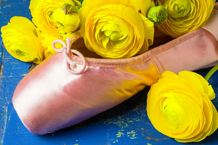Ballet Shoe With Ranunculus Photograph by Garry Gay
