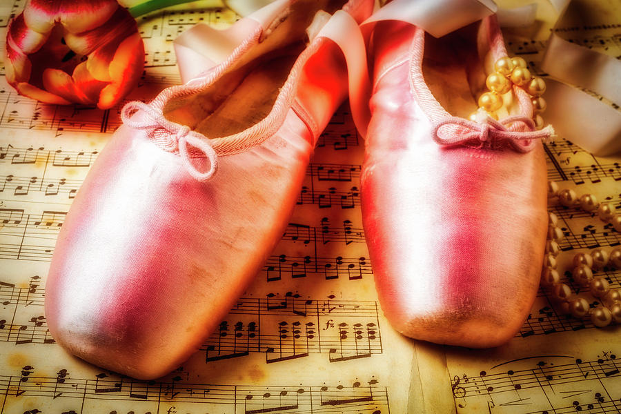 Ballet Shoes And Perals Photograph by Garry Gay