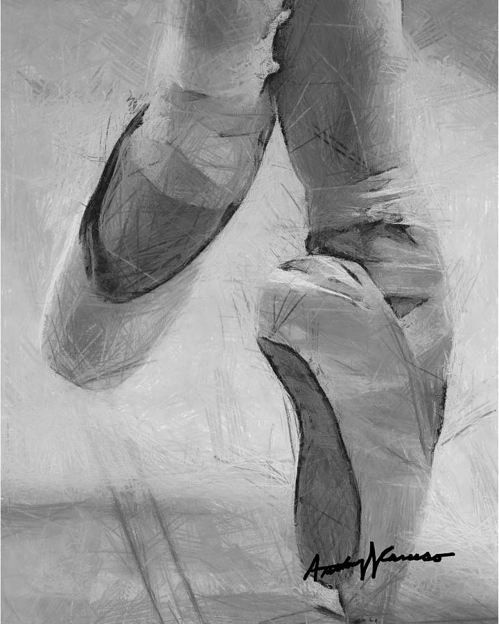 Ballet Slippers Digital Art By Anthony Caruso