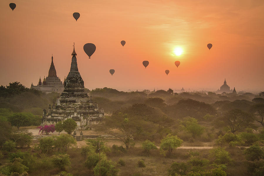 Balloon Dawn Photograph by Michele McCormick - Fine Art America