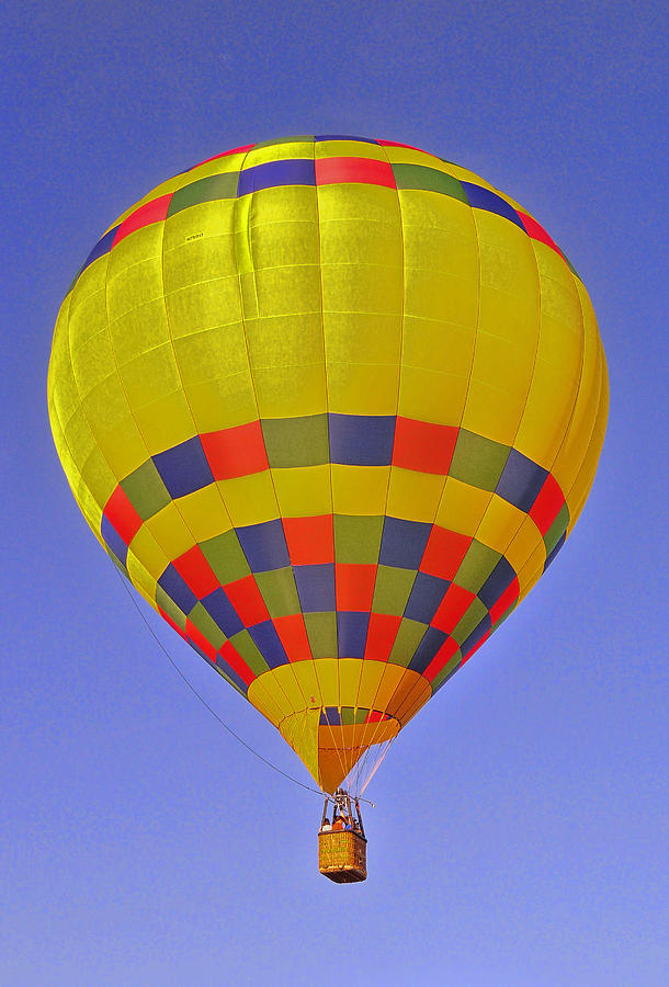 Balloon Fantasy 29 Photograph by Allen Beatty