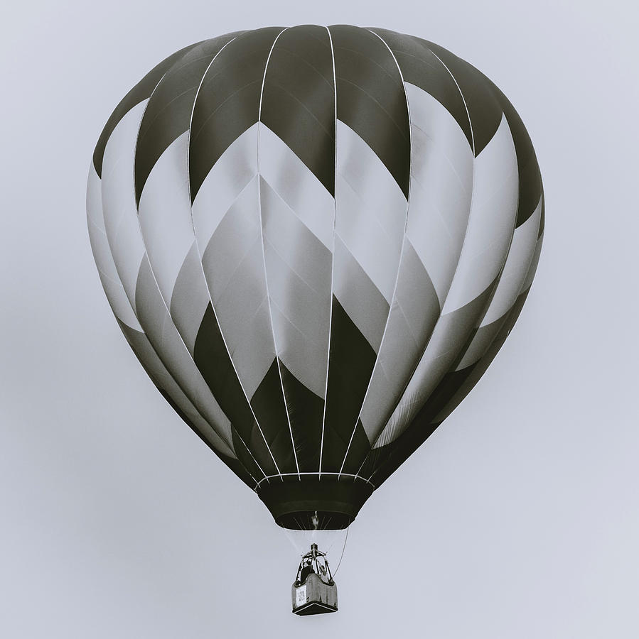 Balloon in Monochrome Photograph by Catherine Avilez