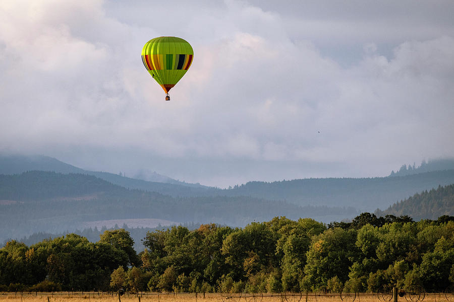 Balloon Over Farmland Photograph by Catherine Avilez