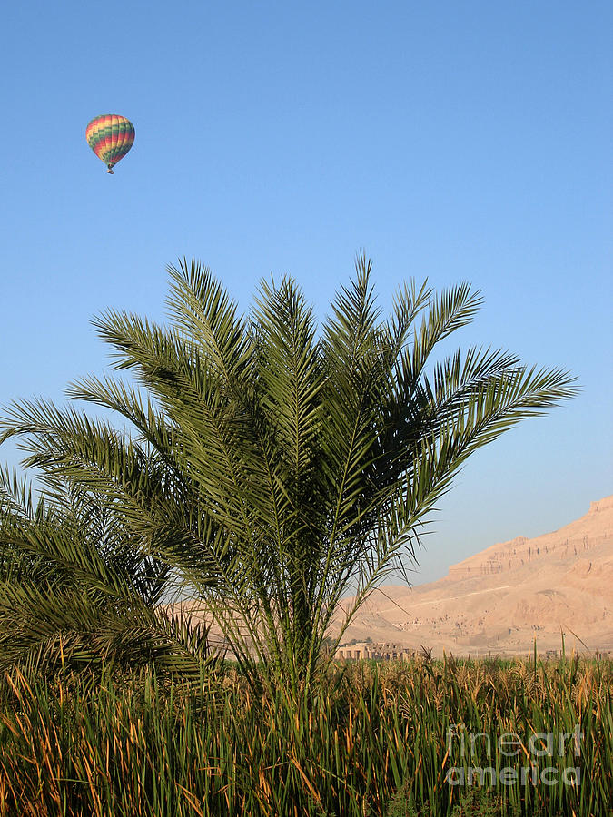 Balloon Over Luxor Photograph by Richard Deurer