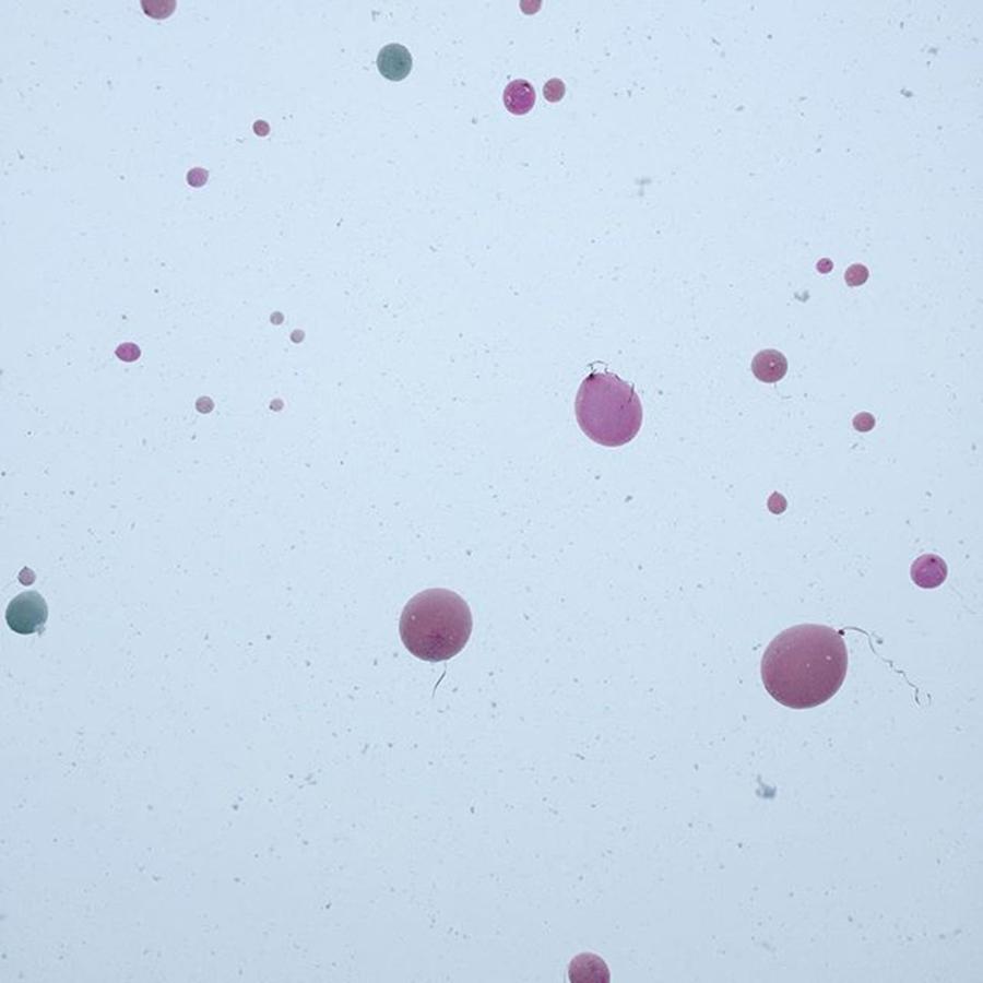 Pink Photograph - Breast Cancer Balloon Release by Lisa Amakye-Ansah