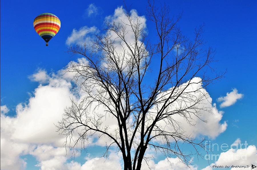 Balloon Ride Photograph by Anthony Djordjevic - Pixels