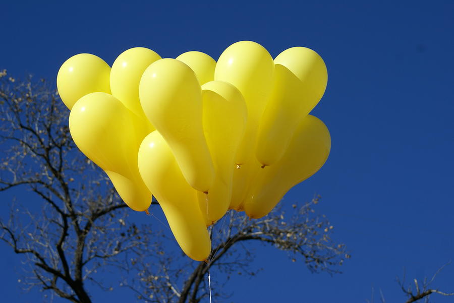 Tree Photograph - Balloons - 3 by Padamvir Singh