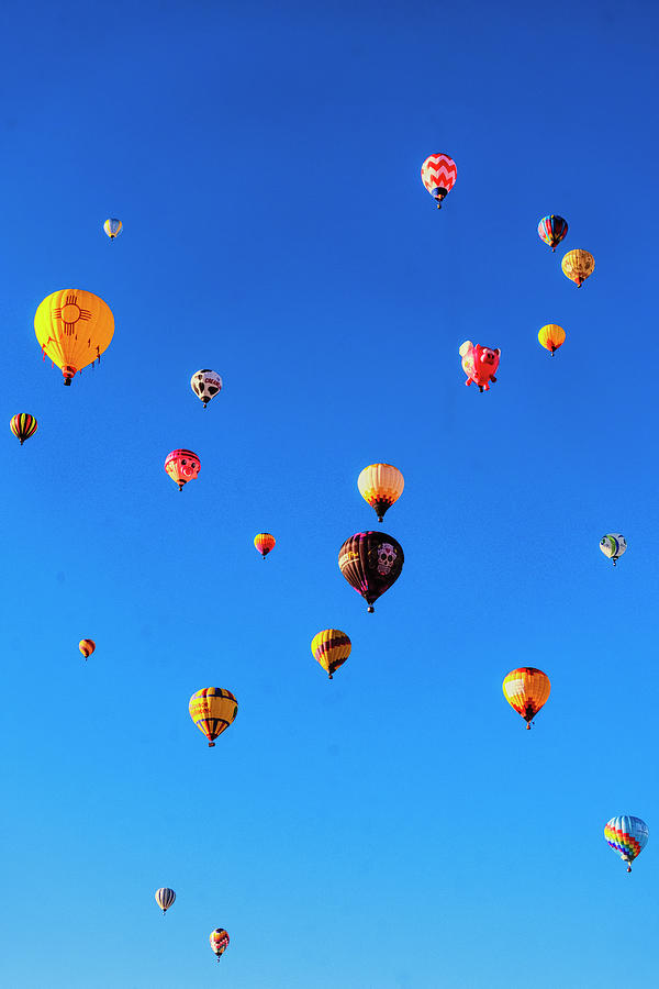 Balloons Galore Photograph by Tom Singleton