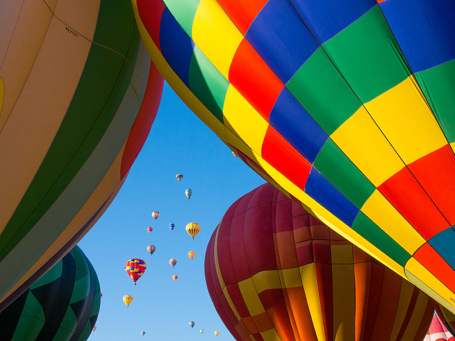 Balloons over Albuquerque Photograph by Dan Leffel - Pixels