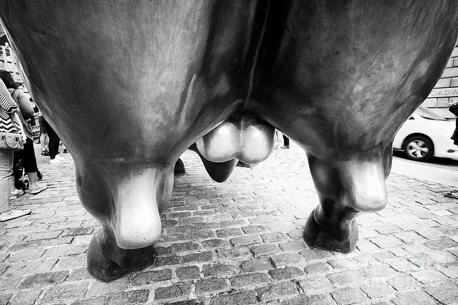 Ball Photograph - balls of the charging bull statue bowling green wall street New York City USA by Joe Fox