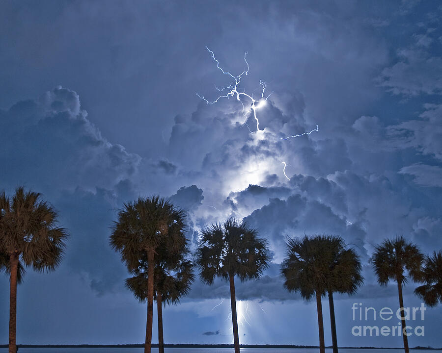 Balmy Lightning Night Photograph by Stephen Whalen