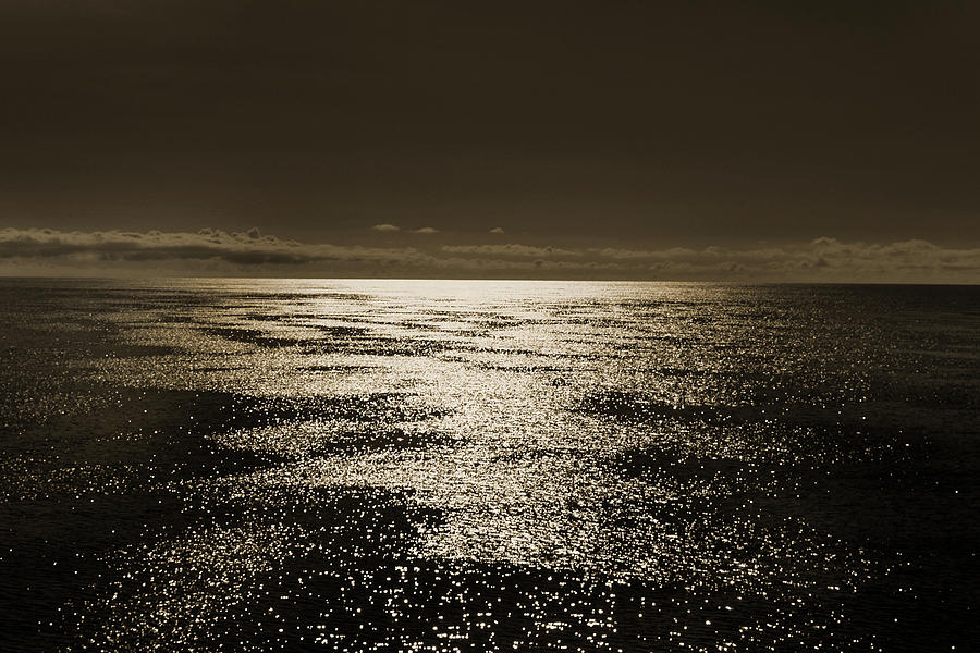 Baltic Sea. Photograph by Terence Davis