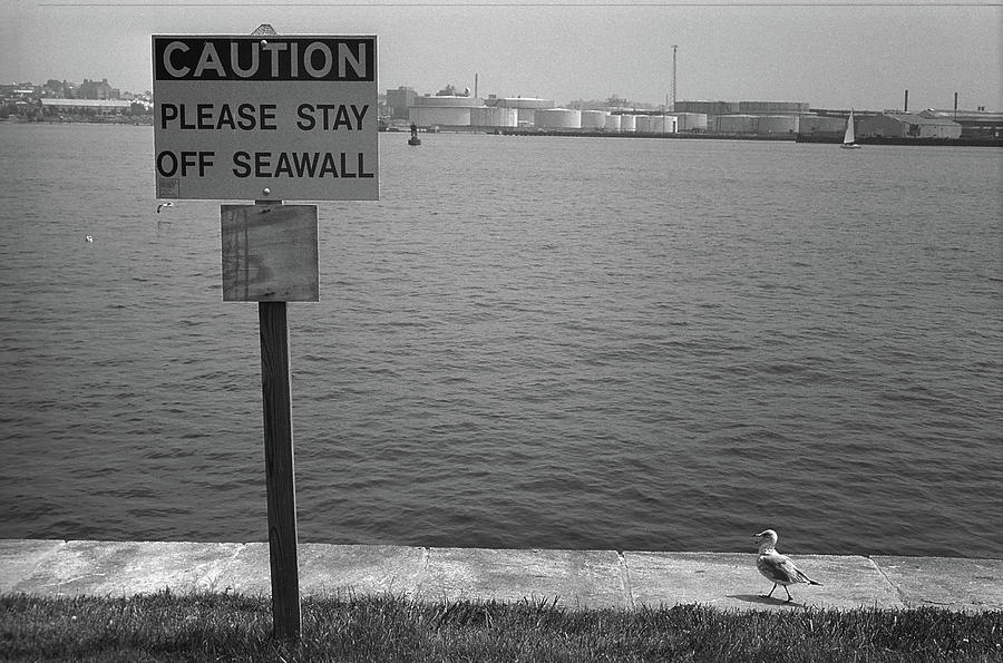 Baltimore - Chesapeake Bay 2003 BW Photograph by Frank Romeo